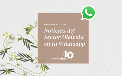 OLEONoticias en tu Whatsapp