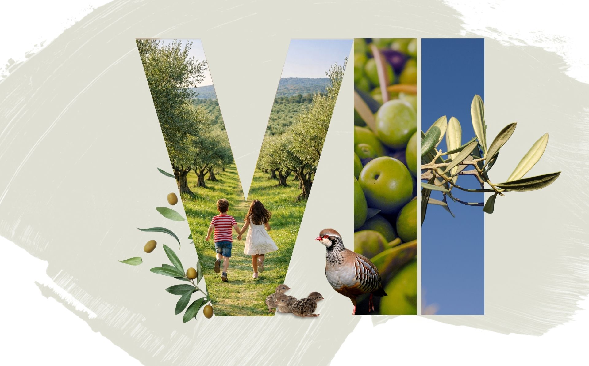 VII Encuentro de Olivicultores