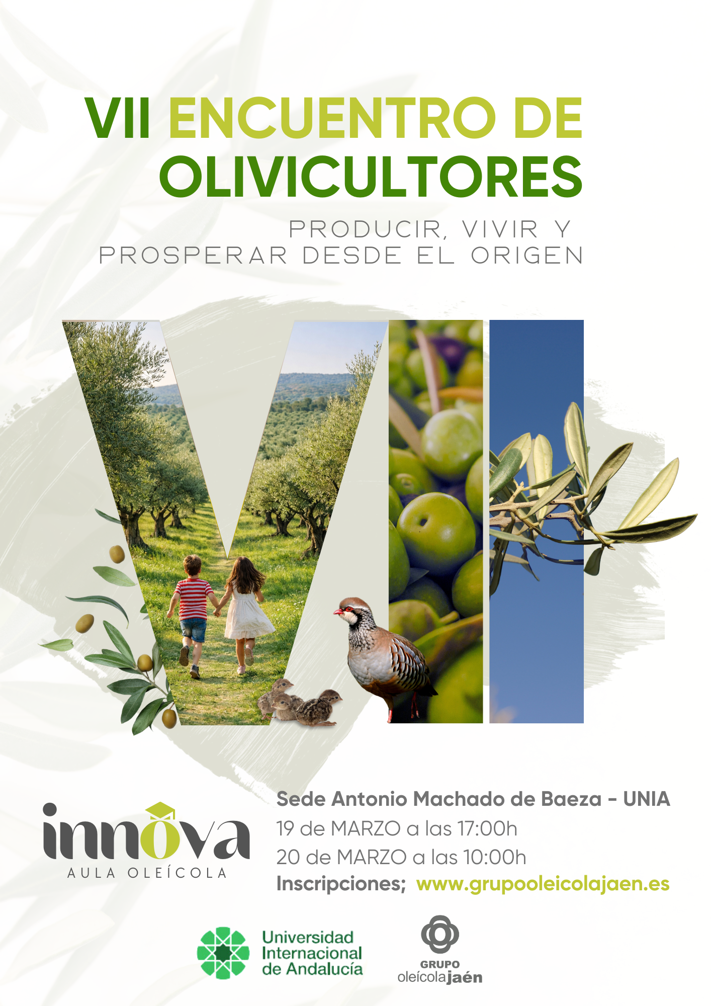 VII ENCUENTRO DE OLIVICULTORES